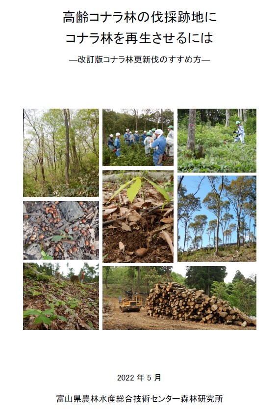 高齢コナラ林の伐採跡地にコナラ林を再生させるには－改訂版コナラ林