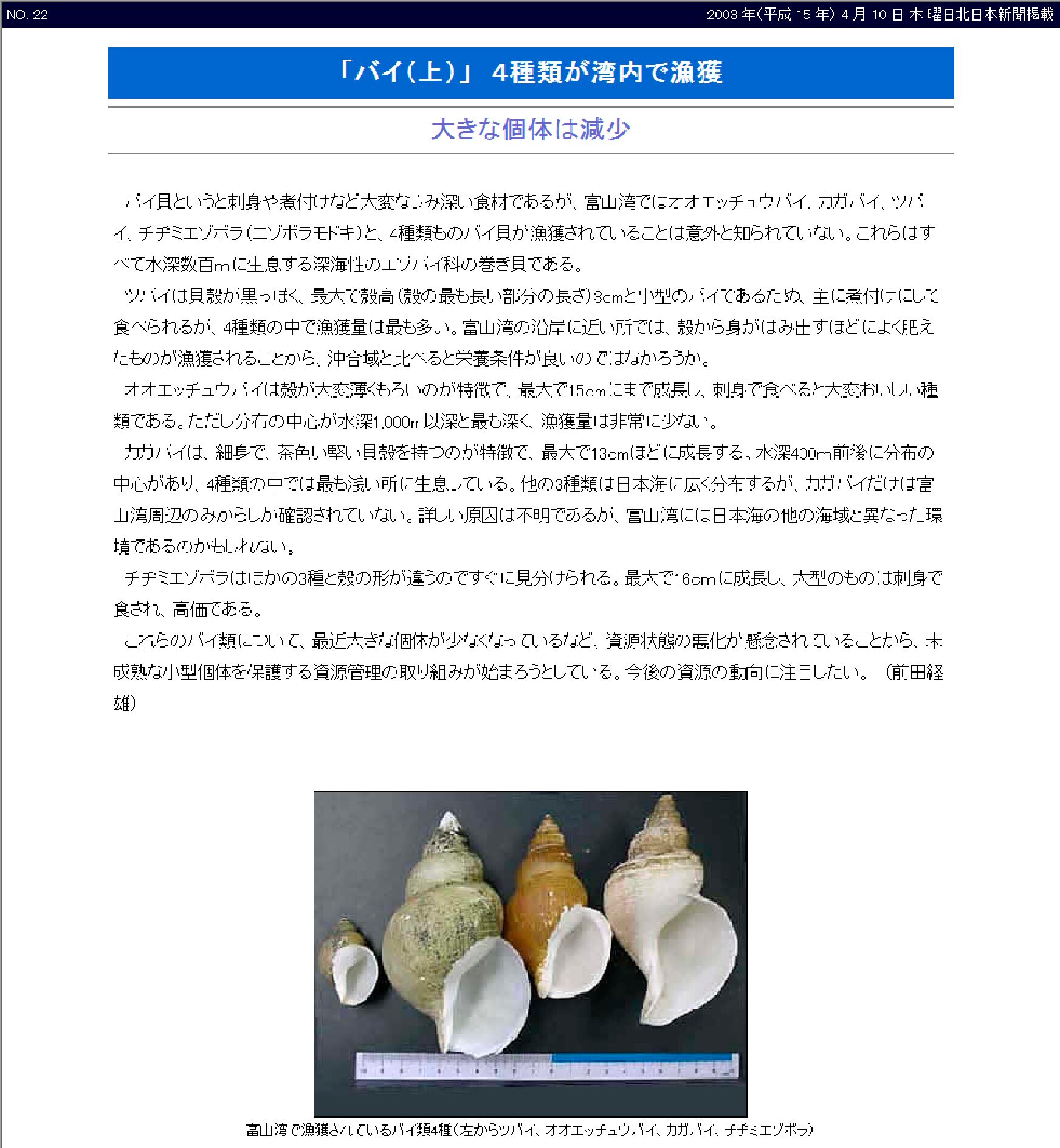 【NO.22】バイ(上): 4種類が湾内で漁獲 | 水産研究所